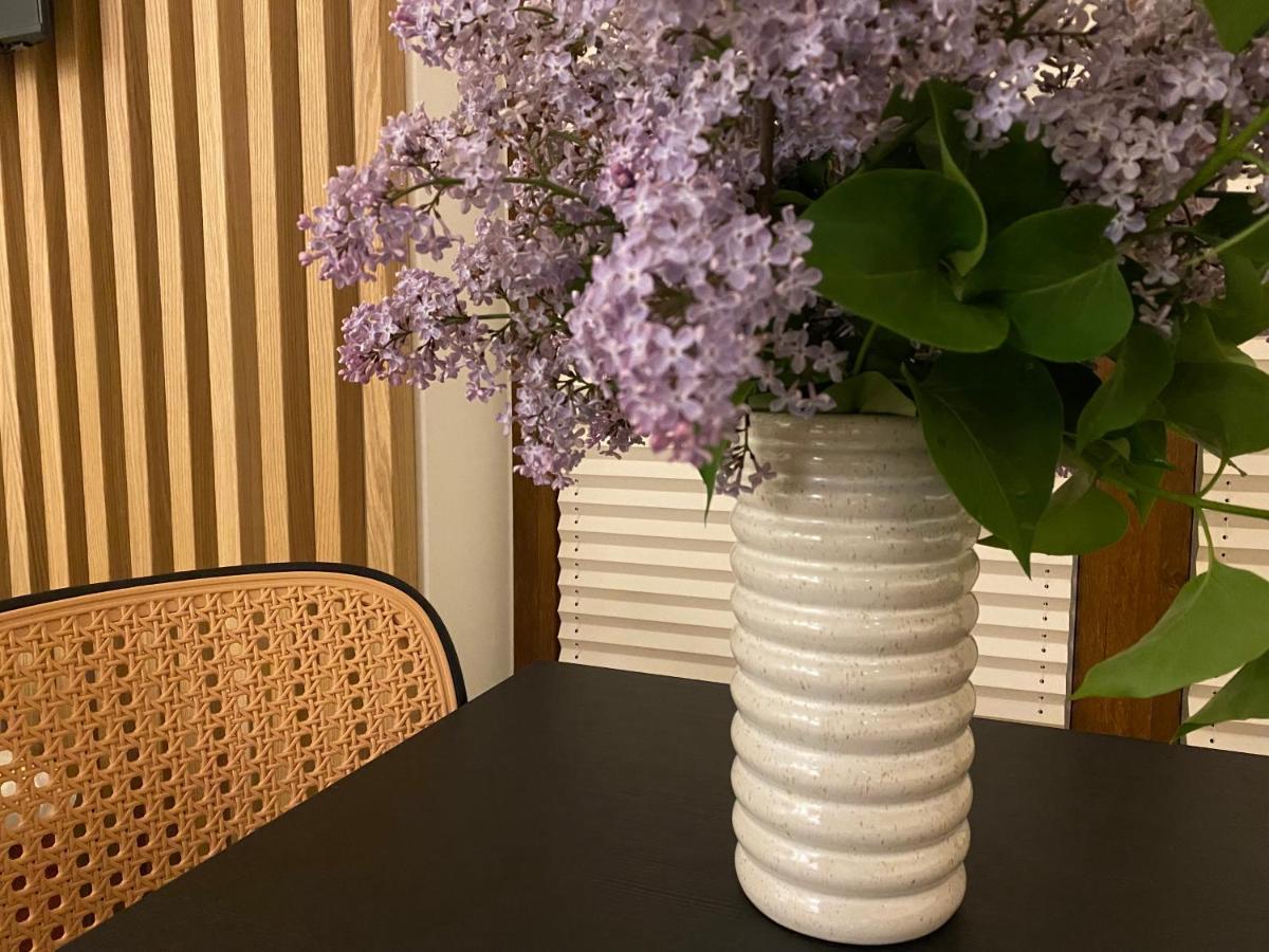 Apartament Carmel Stegna Park Buitenkant foto